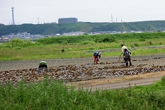 VRu